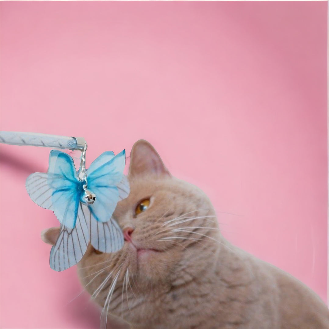 Butterfly Cat Teaser Wand Toy / Kitten Chase Game Gift Blue / Pink